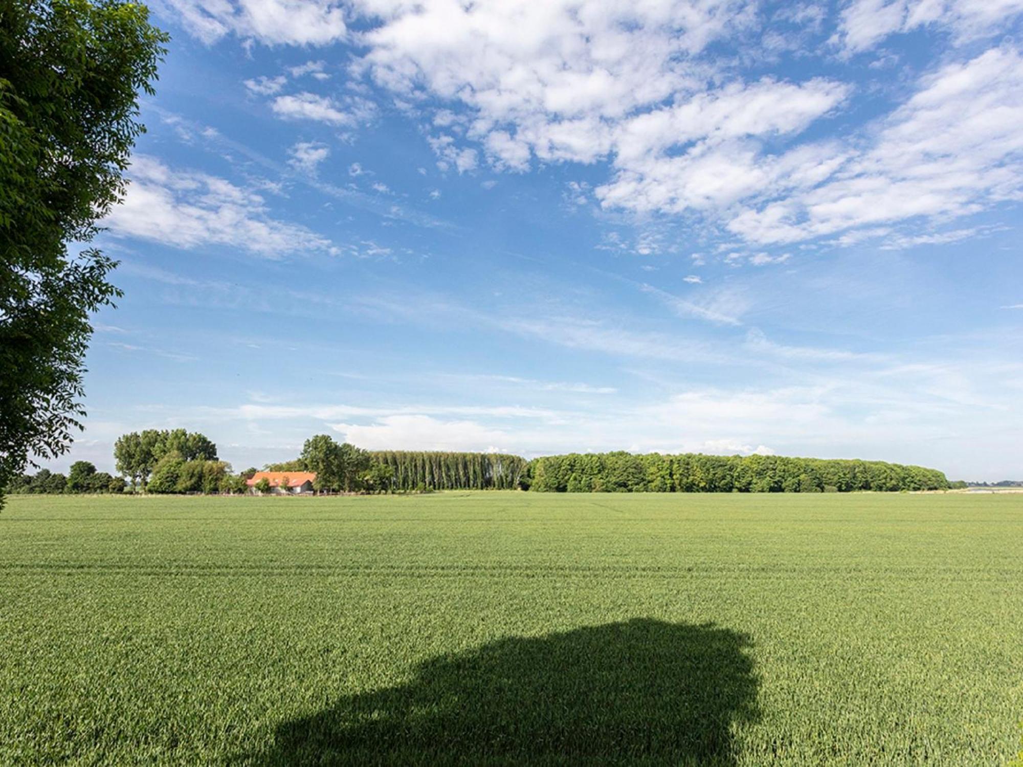 Holiday Home Polderzicht By Interhome Zuid-Beijerland Zewnętrze zdjęcie