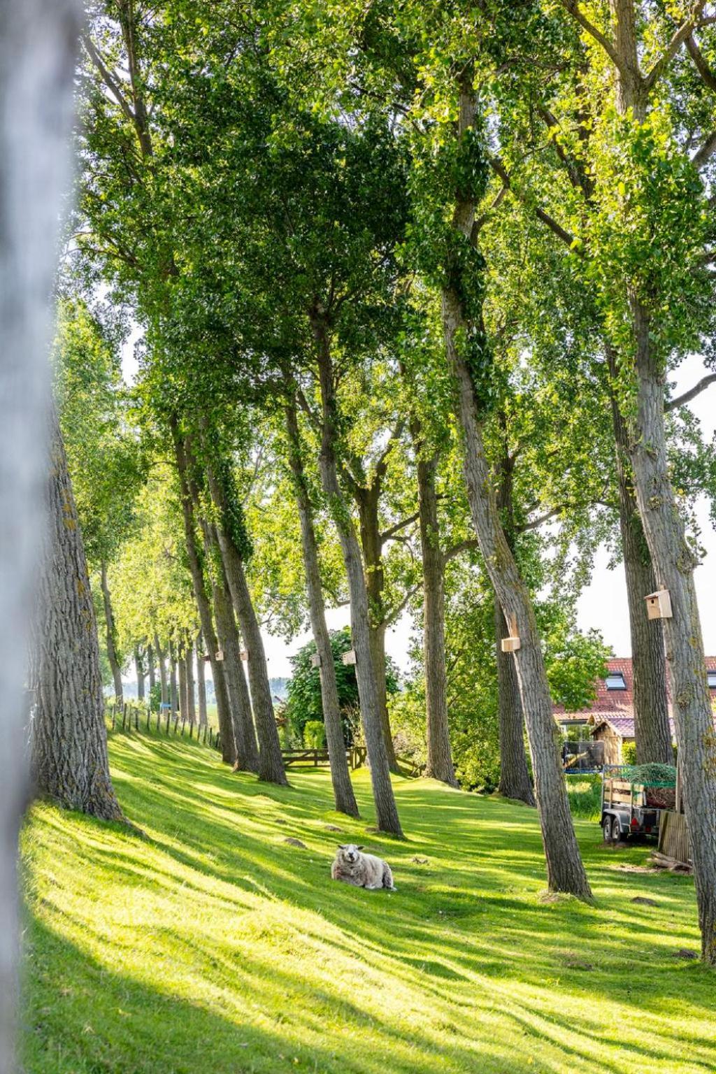 Holiday Home Polderzicht By Interhome Zuid-Beijerland Zewnętrze zdjęcie